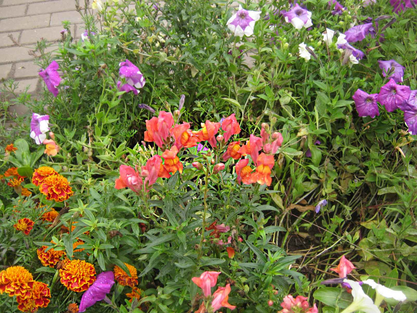 Отличную теплую погоду дарит камышанам последний сентябрьский день