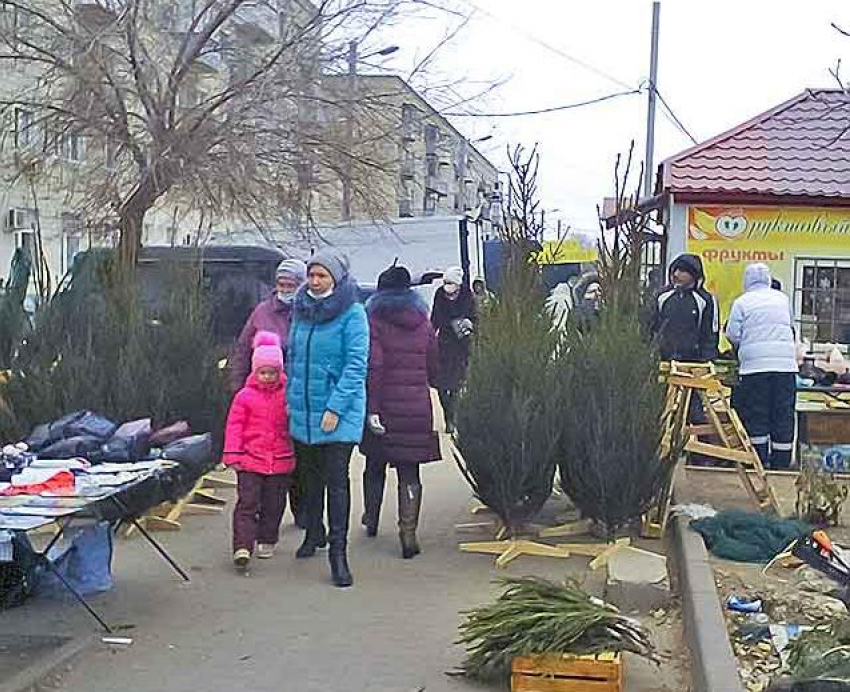 В предновогодние дни в Камышине чаще фиксируются всплески ковида - 22 декабря 35 новых пациентов и новая смерть 