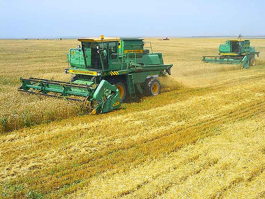 Стали известны кандидатки на должность главы Камышинского района: депутатам районной думы соискательниц представят завтра, 18 ноября