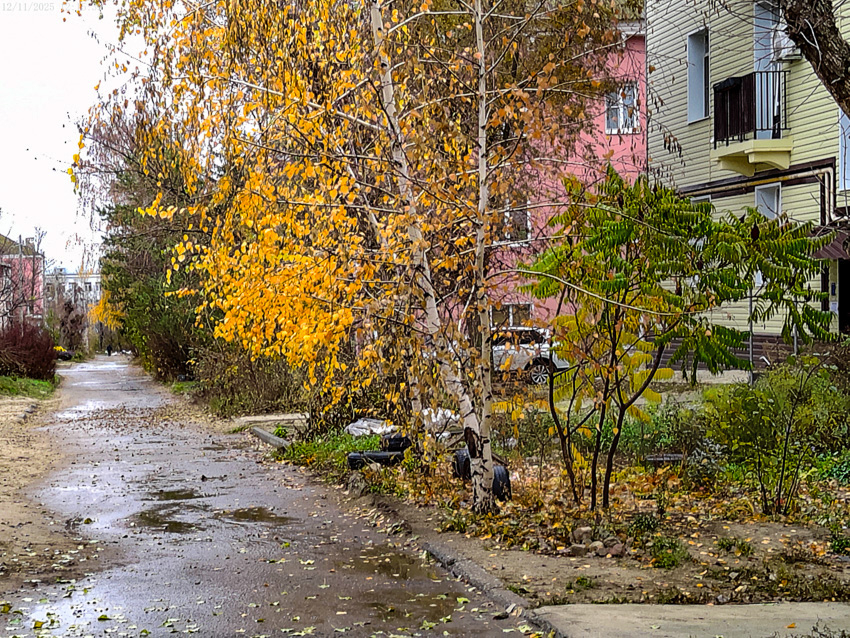 "Реально тринадцатое": в десятках домов Камышина коммунальщики сегодня отключают  свет, а  в одном - воду