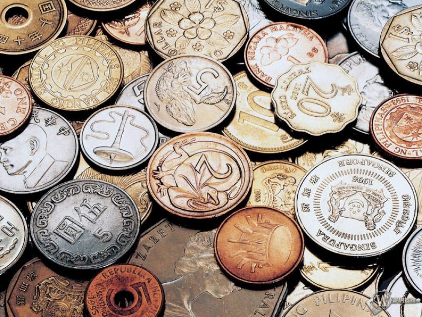 В Камышине брат похилил и продал коллекцию старинных монет сестры