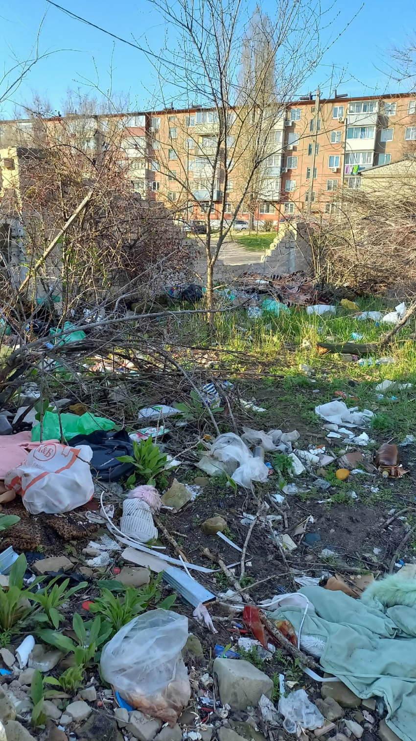 Администрация Камышина требует от горожан нанимать спецтранспорт для вывоза веток или покупать аппарат для их измельчения, но к мусоркам с ними не приближаться