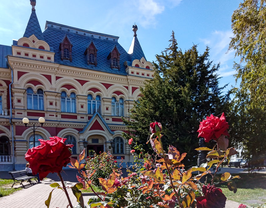 В Камышине розы побили рекорды прошлых лет по продолжительности цветения