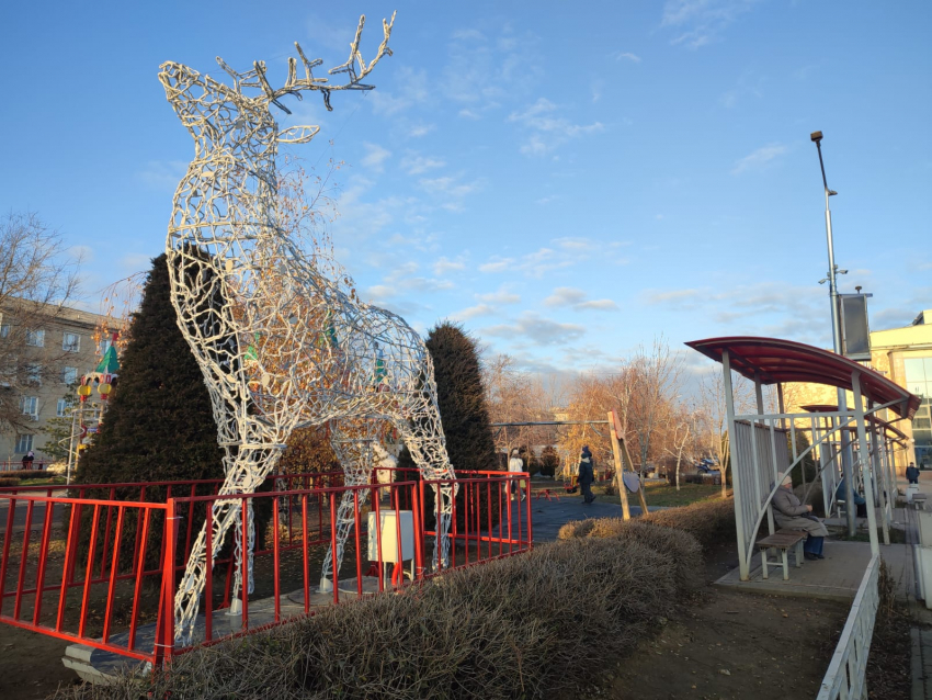 Паблик «Жесть. Камышин", не проверяя фактов, решил «подогреть» критическую заметку... оленем