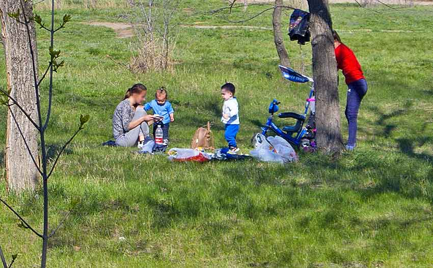 Камышане дождались теплого дня и расположились в парке на траве