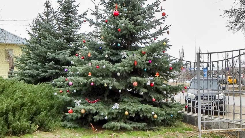 Мороз и ветер: зимняя погода установилась в Камышине 14 декабря