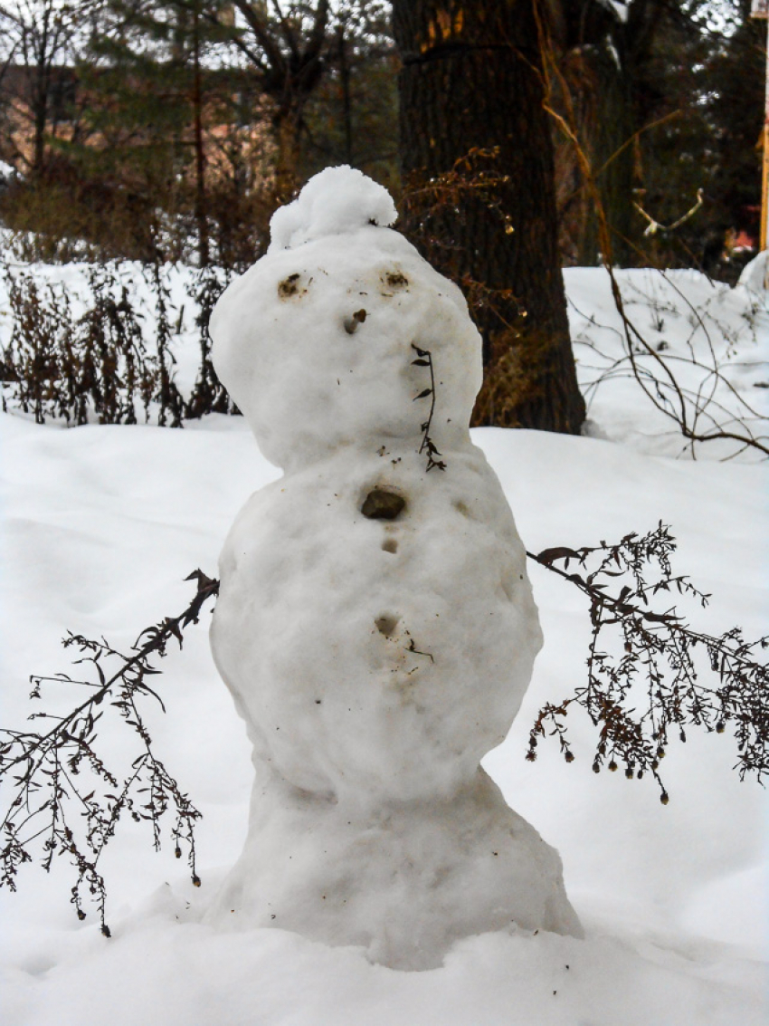 Легкий мороз и небольшой снег: погода в Камышине 6 января