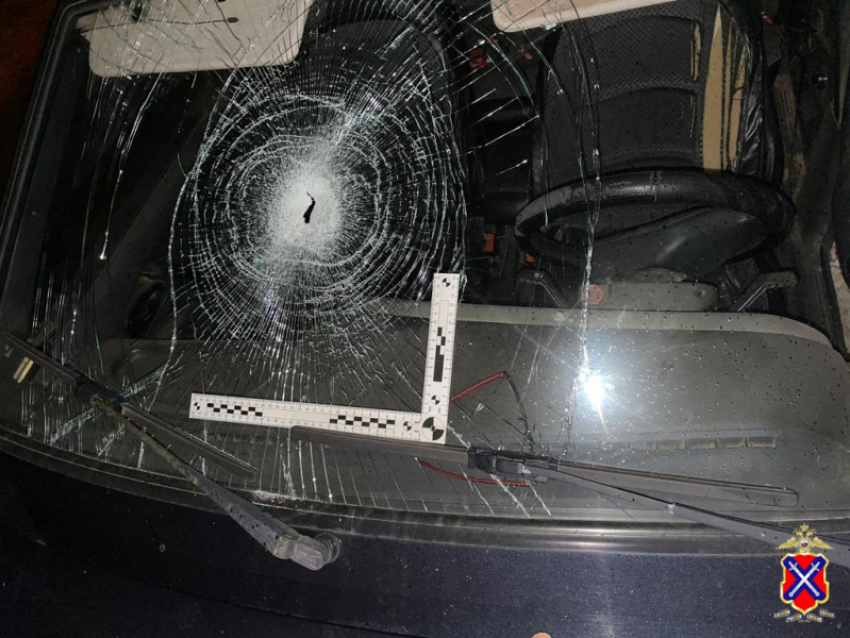 В Камышине полицейские задержали «мачо", спьяну переколотившего стекла почти в двух десятках автомобилей, припаркованных на третьем городке