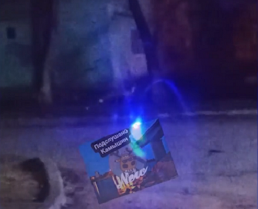 Разгуливающую по Камышину лису заметили горожане