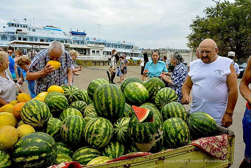 В Камышине, претендовавшем на статус российской арбузной столицы, международный День арбуза не отмечают никак?