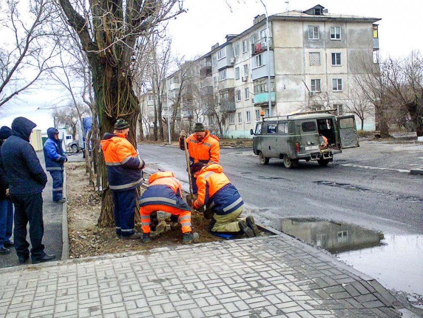 Какая работа вне офиса в Волгоградской области приносит высокий доход