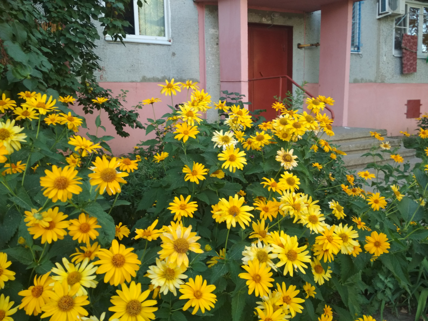 Синоптики предсказали камышанам резкую смену погоды - субботу 1 августа с дождем и грозой