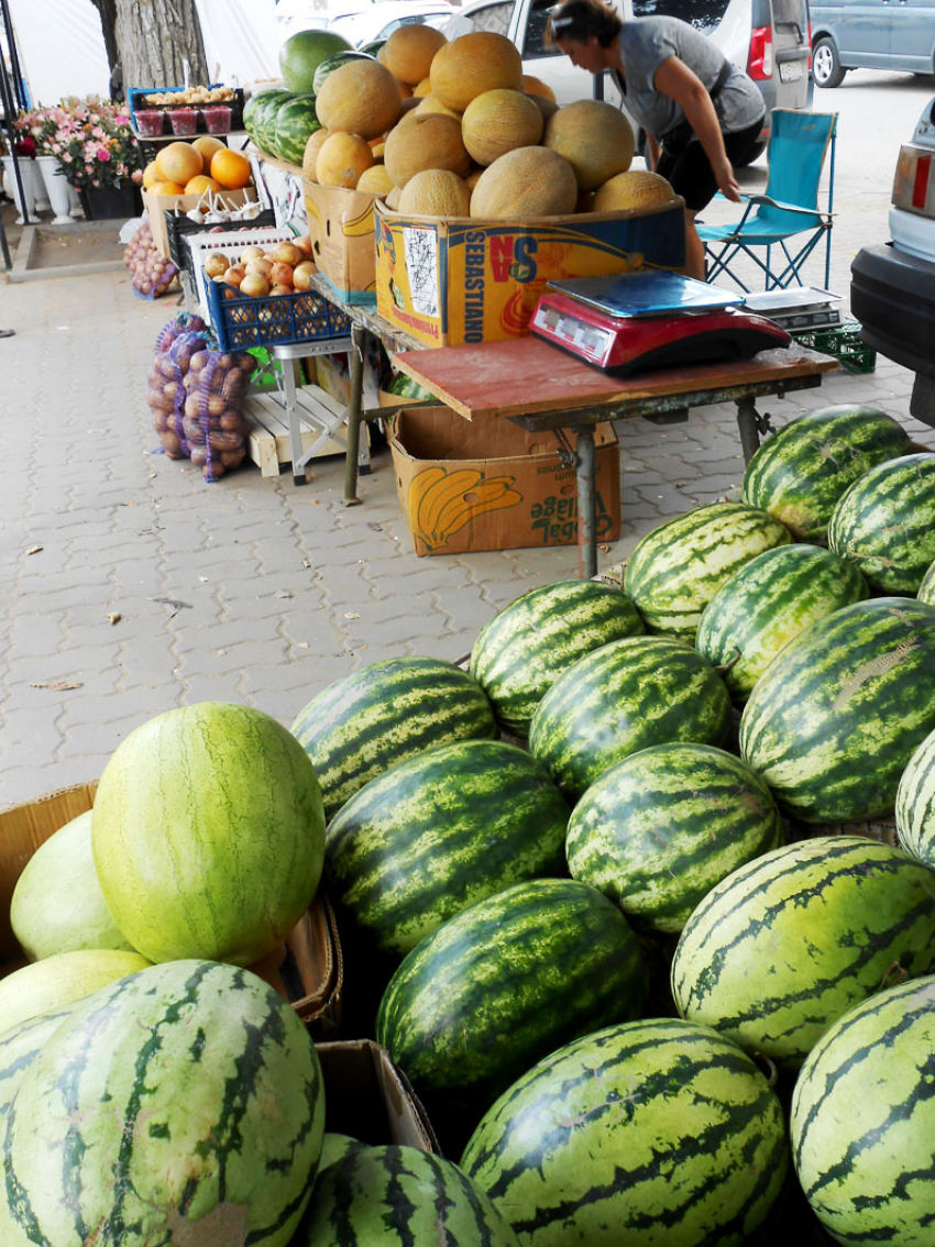 Специалисты Роспотребнадзора велят камышанам есть арбузы от пуза