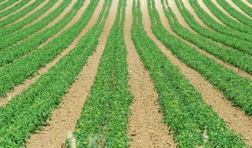 Волгоградские полицейские задержали осужденного, совершившего побег из исправительного учреждения