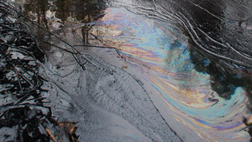 Жители Камышинского района бьют тревогу из-за разлива нефти в реку Иловля