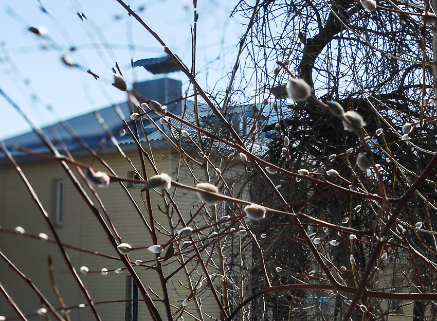 В Камышине 12 марта вновь будут журчать ручьи: погодная повестка на 12 марта