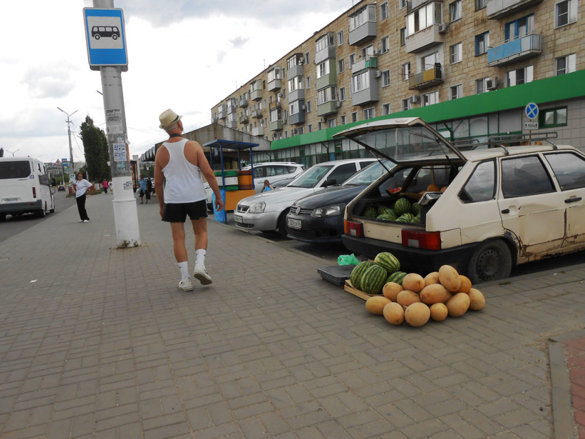В Камышине арбузы начали продавать по 20 рублей за килограмм