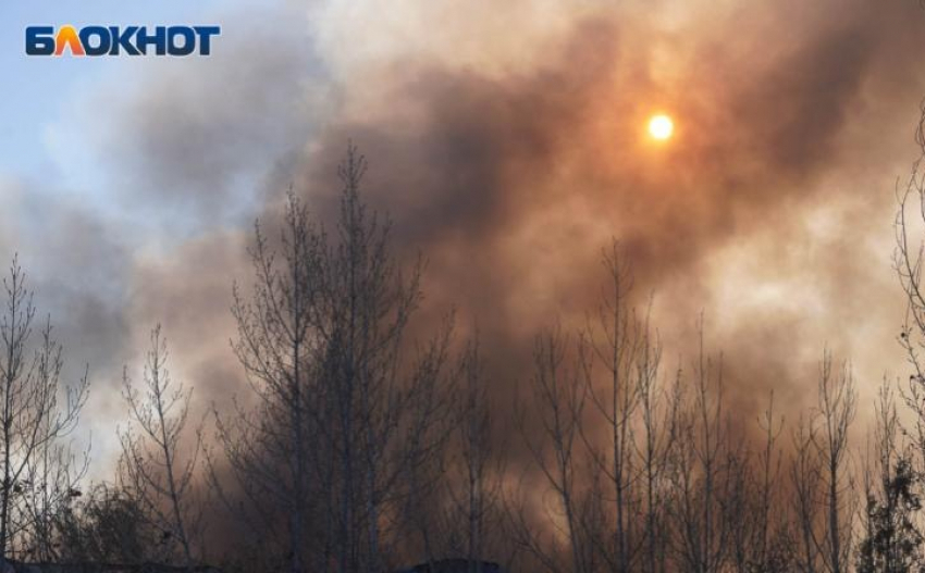 Лесостепной пожар в Камышинском районе потушен, сообщили в ГУ МЧС