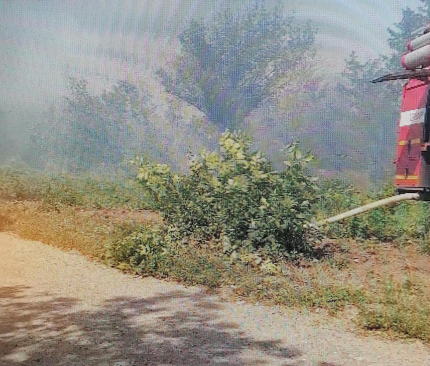 Камышане показали, как в эти минуты, сегодня, 7 июля, горит лесопитомник нашего города: в дыму полнеба (ВИДЕО)