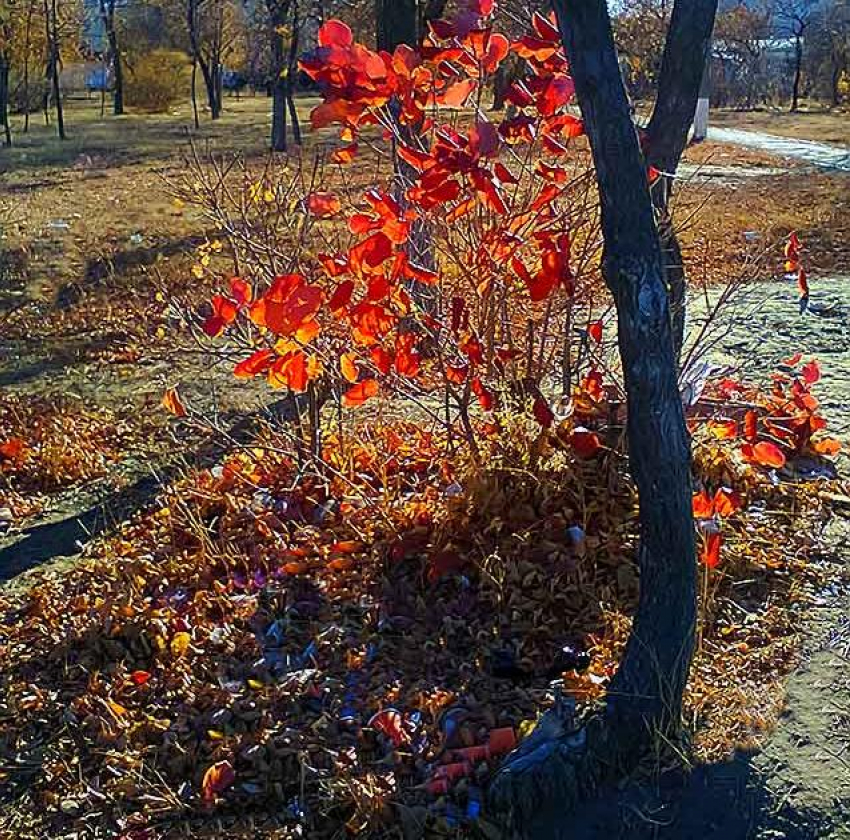 В числе скончавшихся от COVID по данным на 15 ноября есть и 74-летняя камышанка
