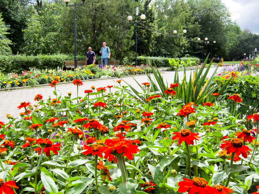 Свежо и солнечно: погода в Камышине 26 августа