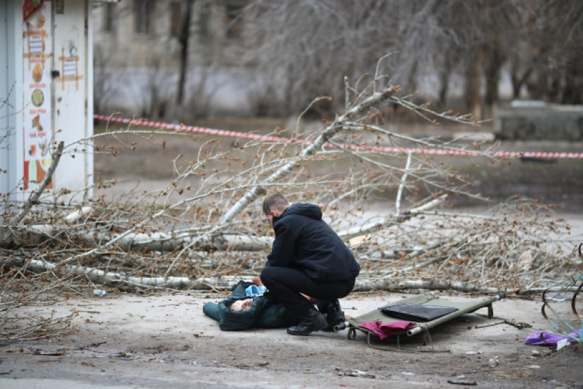 Женщину убил упавший тополь: подробности трагедии в Волгограде, - VPRAVDA.RU