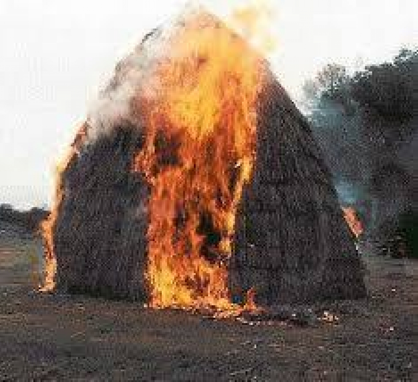 Огонь съел за один «присест» три тонны сена в селе Костарево Камышинского района
