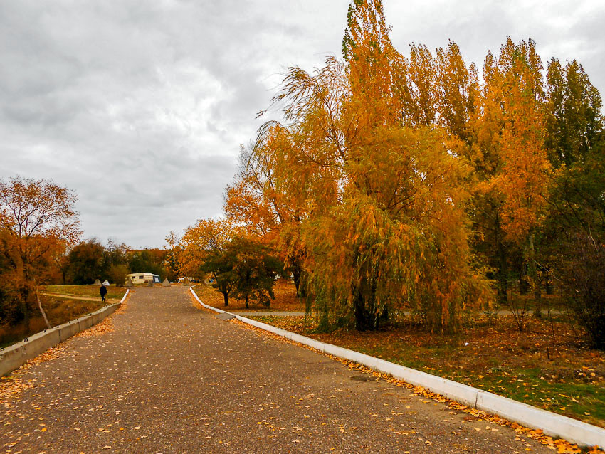 "Желтый» уровень опасности объявлен из-за тумана в Волгоградской области 