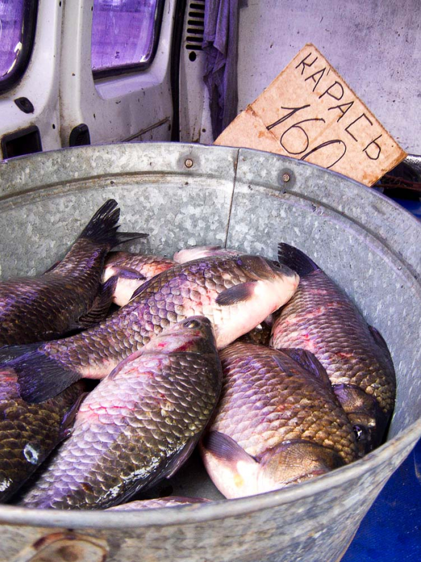 Неужели нельзя уличную торговлю свежей рыбой организовать в Камышине культурно, а не из грязного чана? - камышанка 