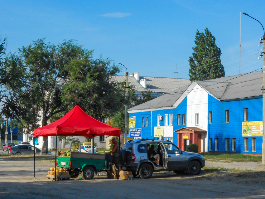 В Камышине растет число стихийных «арбузных» палаток