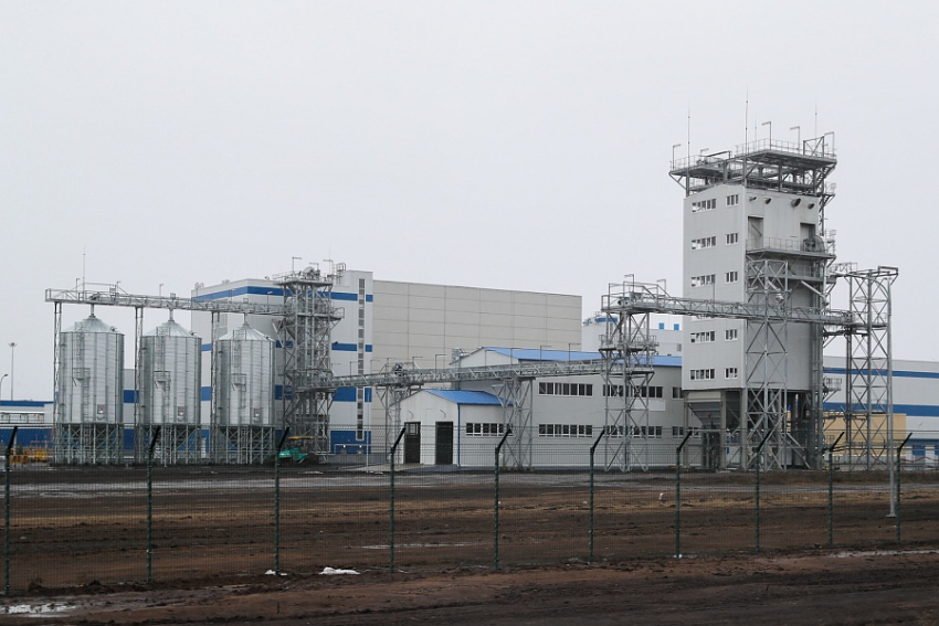 В Волгоградской области построили один из крупнейших в мире заводов по переработке кукурузы