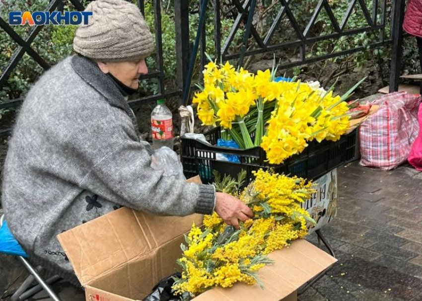Десятки тонн мимозы ввезли из Абхазии через таможенный пункт Сочи  