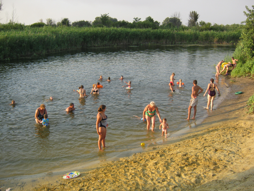 Реки Волгоградской области проверят на самовольный захват прибрежной территории  