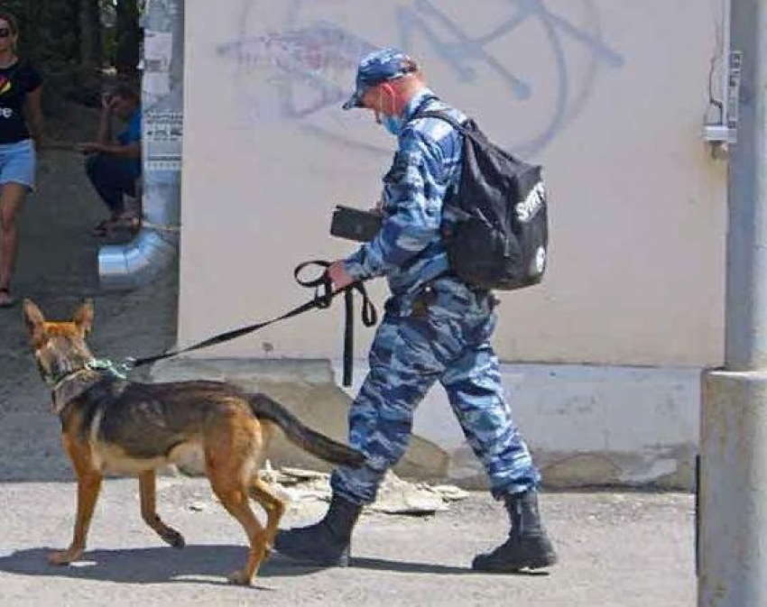 В Камышине служебная собака взяла след парней - похитителей чугунных крышек к водоканальским люкам