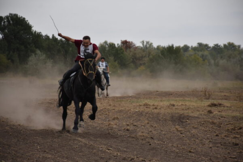 День старинного села в Камышинском районе отметили скачками