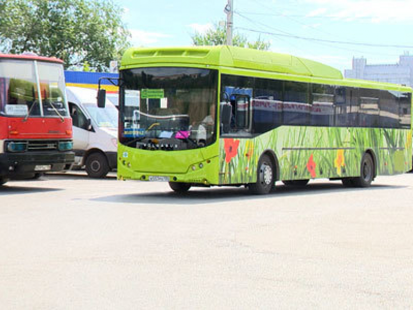 Камышинские водители пока не могут подать всем пассажирам безопасные автобусы