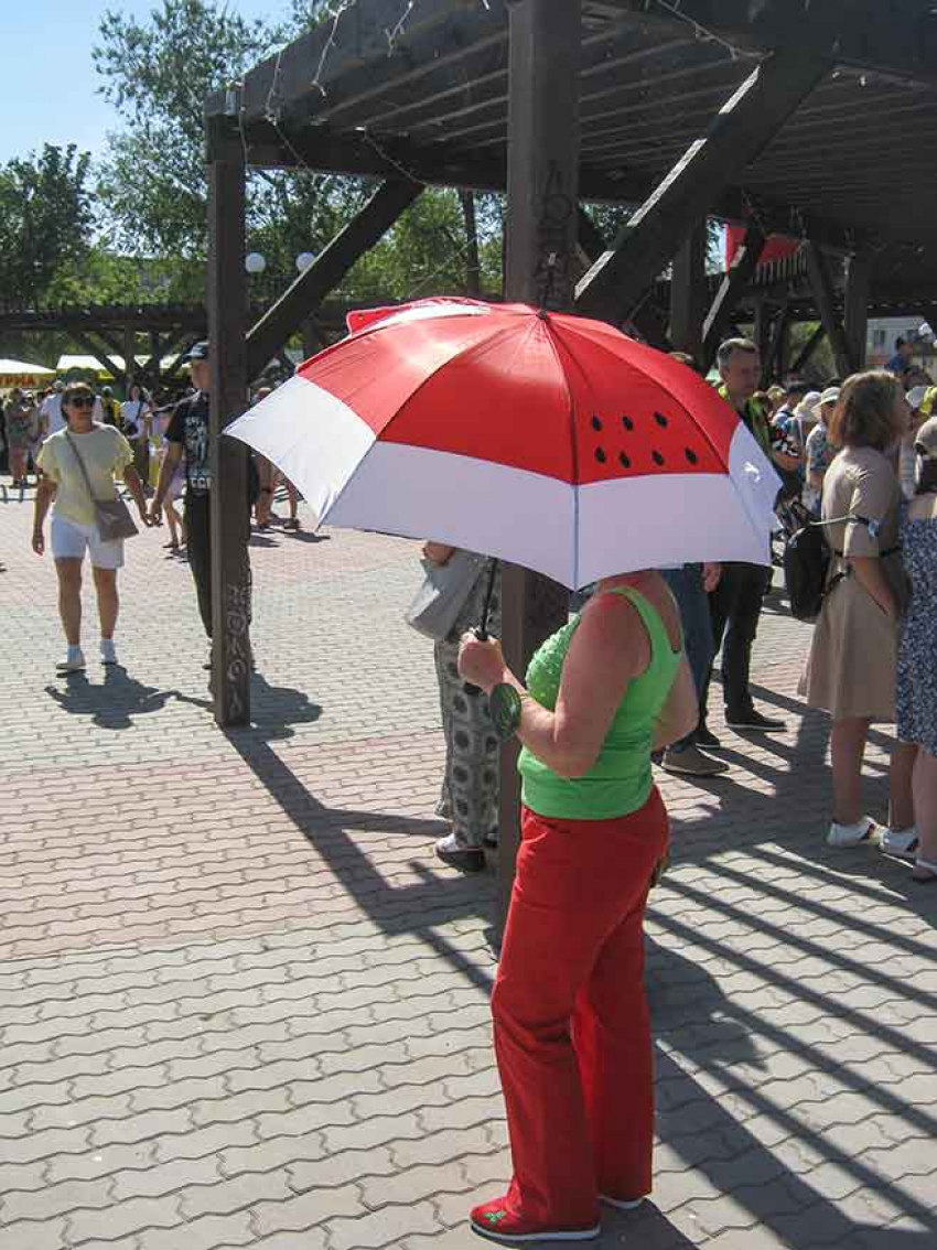 36-градусная жара накрывает Камышин на исходе лета