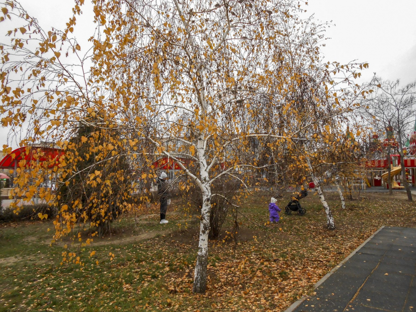 В Камышине сегодня, 4 декабря, будет испытывать жителей на прочность 6-балльный геомагнитный шторм