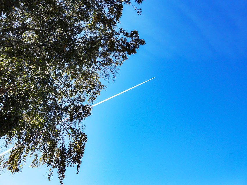 Камышане стали панически напрягаться от самолетных следов в небе и «тайны» радиационного обследования территорий  Волгоградской области
