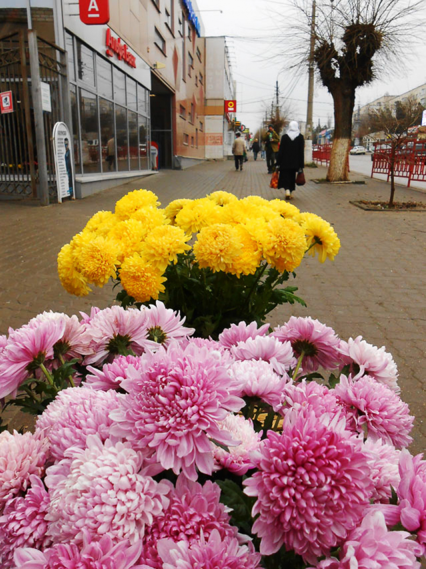 Свежий, солнечный день с 5-балльной магнитной бурей: погодный прогноз для камышан на 26 ноября