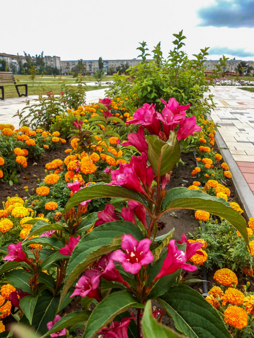  Камышанам природа предлагает порадоваться свежести, а +25 уже на подходе