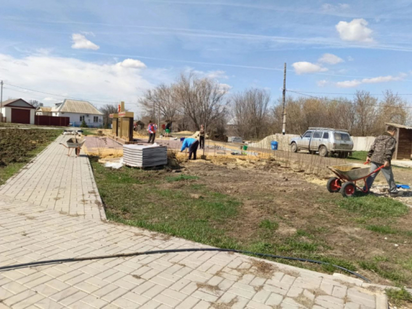 В селе Дворянском Камышинского района у памятника фронтовикам Великой Отечественной высаживают живую зеленую изгородь