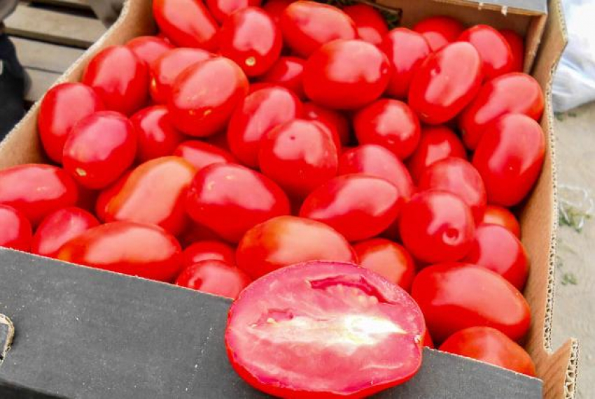 Камышан пообещали накормить вялеными томатами и сливами и маринованным имбирем местного производства