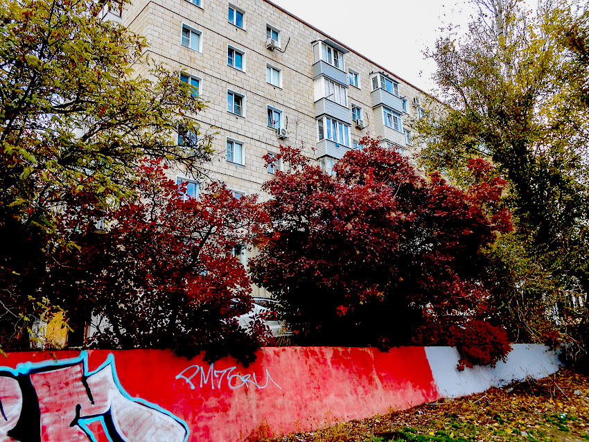 А вот тут некому убрать «какули"-каракули? - камышанка