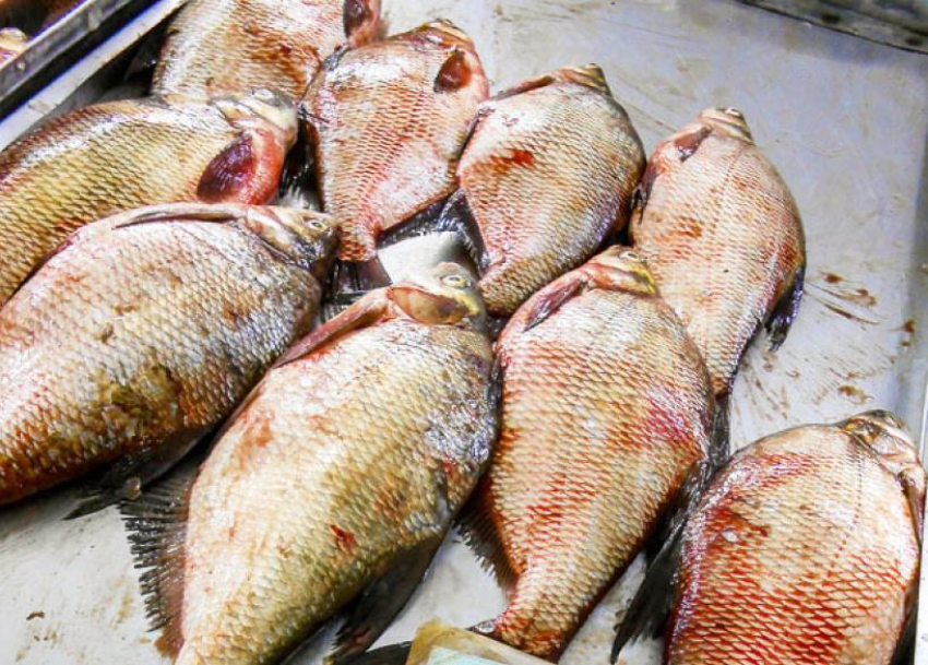 В России утвердили список из 24-х продуктов для оперативного контроля цен  на них