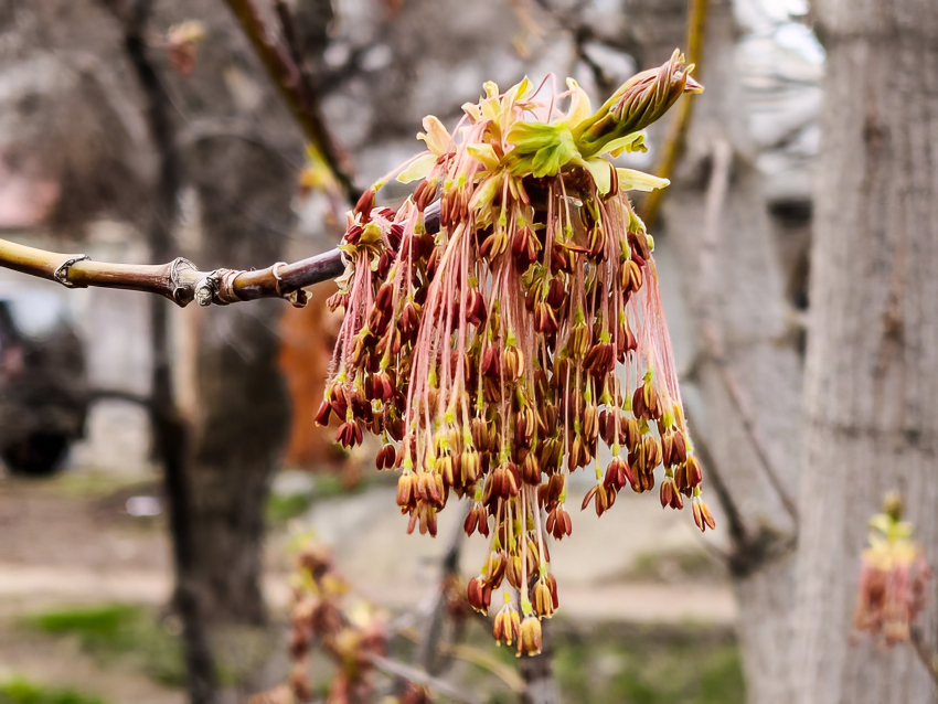 Почему в прогнозе для Камышина появились не только капли, но и снежинки?