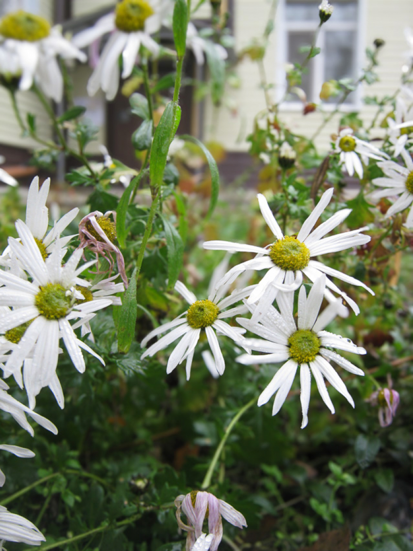 В Камышине продолжатся отключения электроэнергии сегодня, 17 ноября