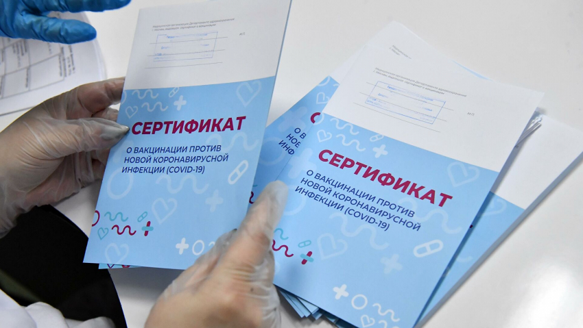 Две медсестры из Жирновска поставили на поток липовые сертификаты о вакцинации против ковида