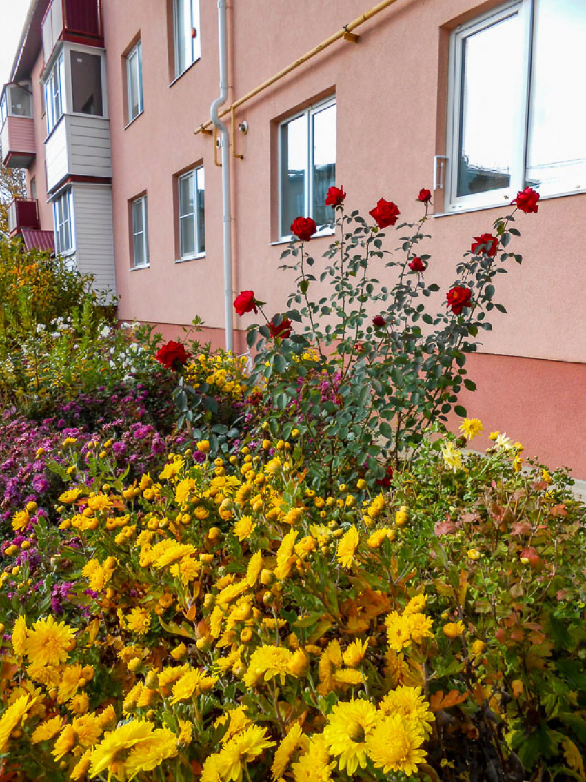 Дожди вклинятся в «бабье лето» в Волгоградской области