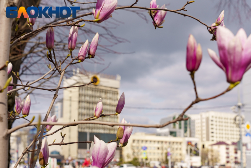 А в южном Краснодаре, оказывается, отопительный сезон закончат только 17 апреля